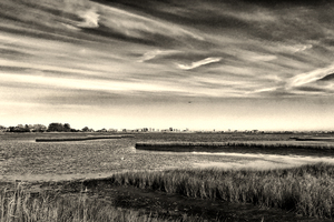 Ocean City Skyline Panorama in Black and White