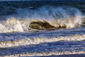 Ocean City Surfs Up