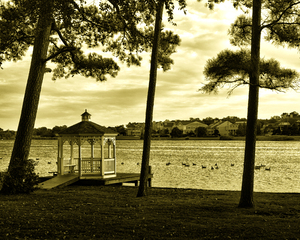 Silver Lake Golden Serenity in Rehoboth Beach