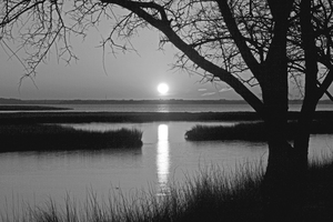 Ocean City Sunset at Old Landing Road in Black and White