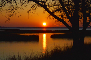 Ocean City Sunset at Old Landing Road
