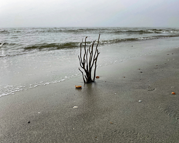 Holden Beach Foggy Morning Print
