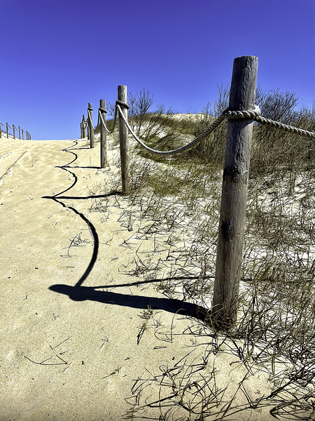Pathway Across a Dune to the Beach Print
