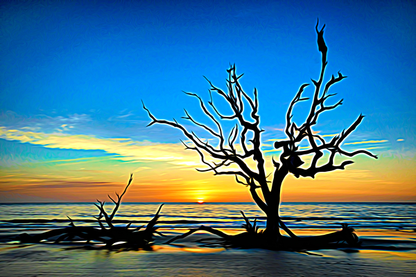 Iconic Tree Sunrise Driftwood Beach Expressionism Print