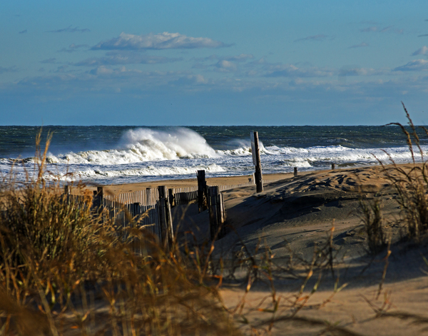 Fenwick Dunes and Waves Print