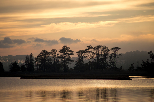 Misty Island of Assawoman Bay Print
