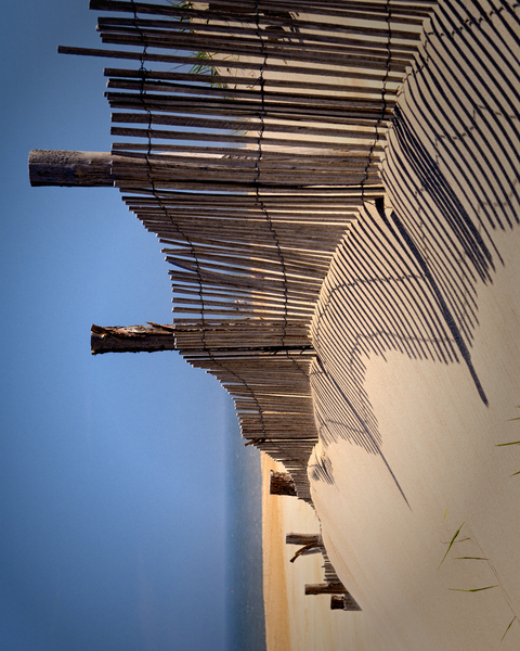 Fenwick Dune Fence and Shadows Print