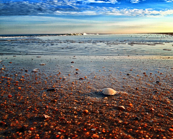 Pebble Beach at Fenwick Island Delaware Print