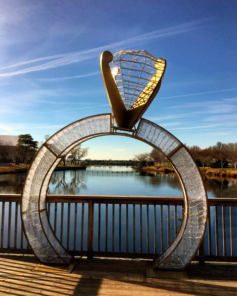 Will You Marry Me in Ocean City Print