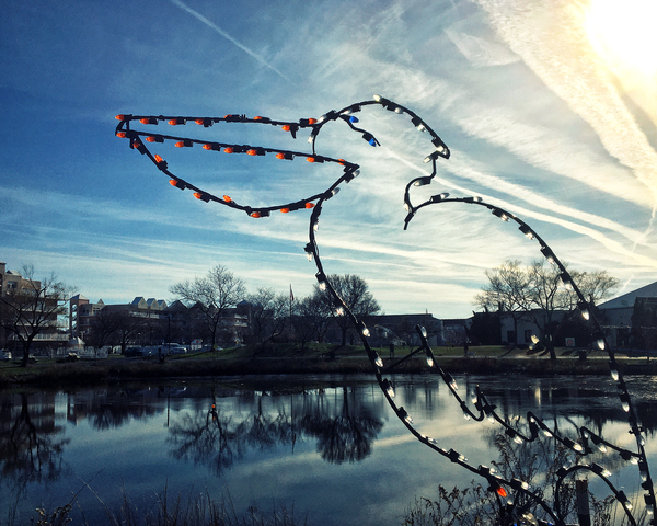 Ocean City Winterfest of Lights Pelican Print