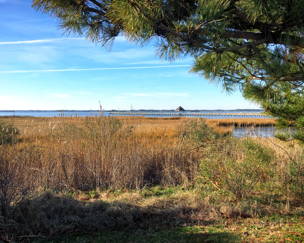 Northside Park Pier and Marsh in Ocean City Print