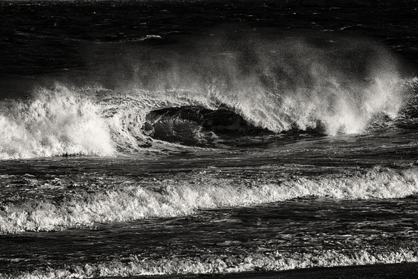 Surfs Up Ocean City in Black and White Print