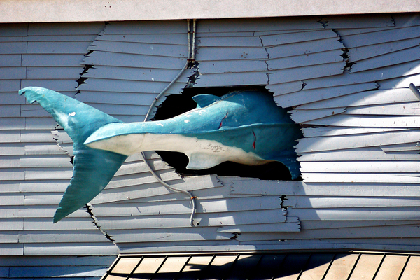 Shark Tail on the Ocean City Boardwalk Print