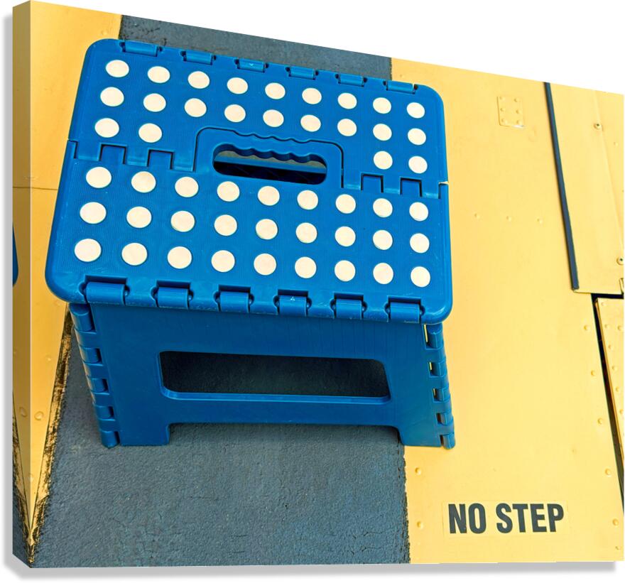 Step No Step Canvas Print