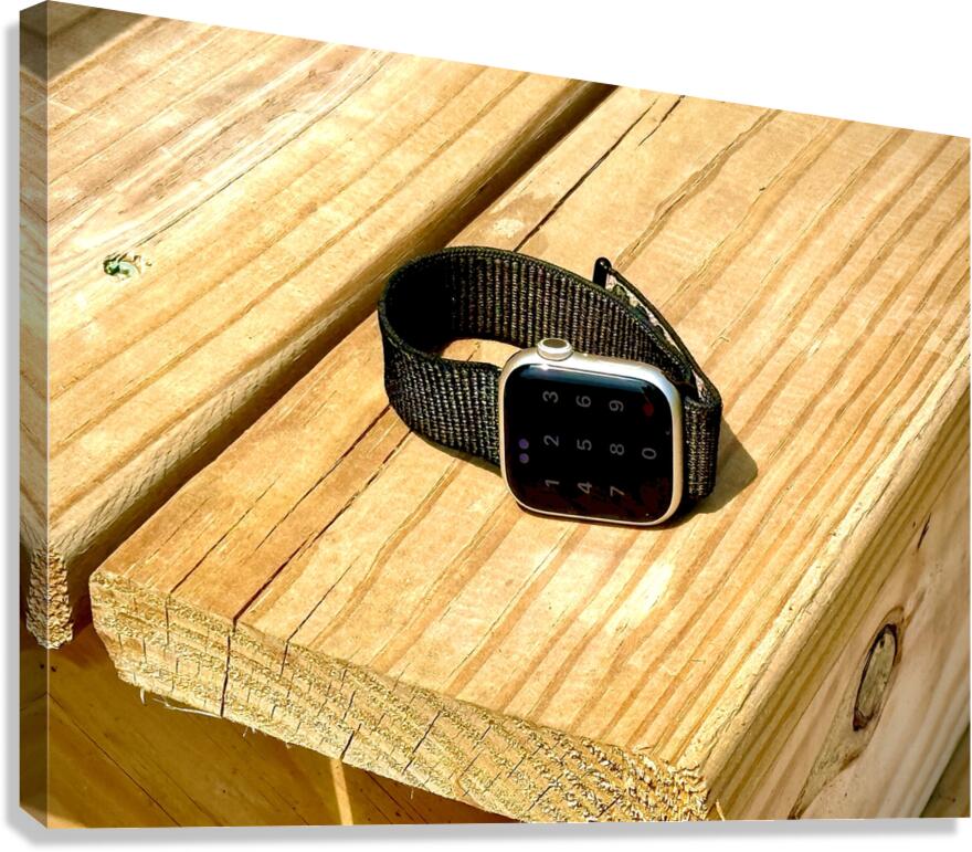 Watch Your Step Canvas Print