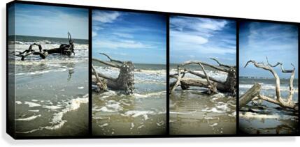 Driftwood Beach Panorama Quadtych Canvas Print