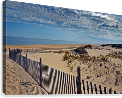 Cape Henlopen Beach Path Canvas Print