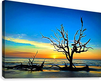 Iconic Tree Sunrise Driftwood Beach Expressionism Canvas Print