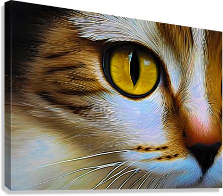 Cats Eye Expressionism Canvas Print