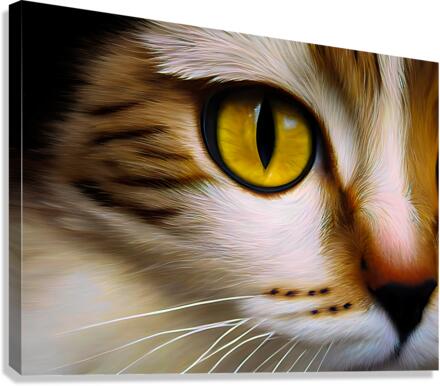 Cats Eye Canvas Print