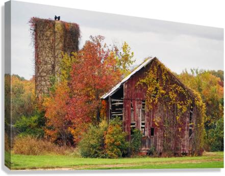 Decaying Red Barn Canvas Print