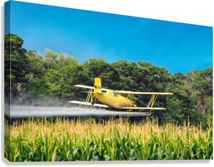 Crop Dusting the Corn Canvas Print