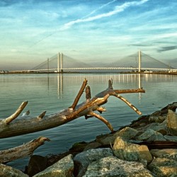 Indian River Bridge with Driftwood
