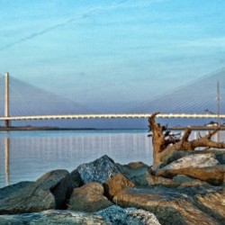 Indian River Bridge Driftwood Panorama