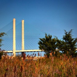 Indian River Bridge Stanchions Standing Tall