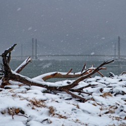 Indian River Bridge with Driftwood and Snow