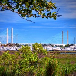 Burtons Boats and A Bridge