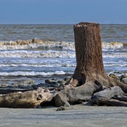 Driftwood Beach Post