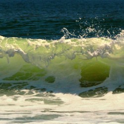 Green Wave Panorama Seascape