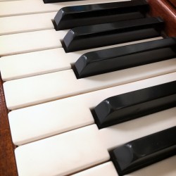 Piano Keys One Octave Plus