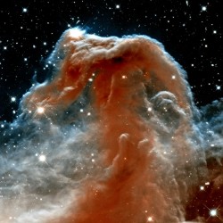 Horsehead Nebula In Space