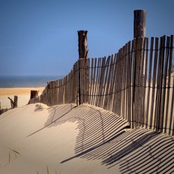 Fenwick Dune Fence and Shadows