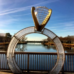 Will You Marry Me in Ocean City