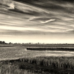 Ocean City Skyline Panorama in Black and White