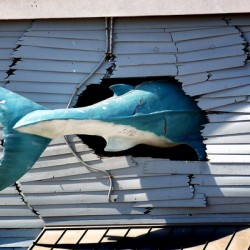 Shark Tail on the Ocean City Boardwalk