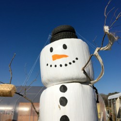 Frosty the Hay Bale Snowman - Horizontal