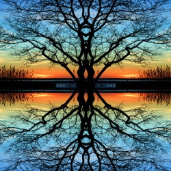 Assawoman Reflections at Ocean City