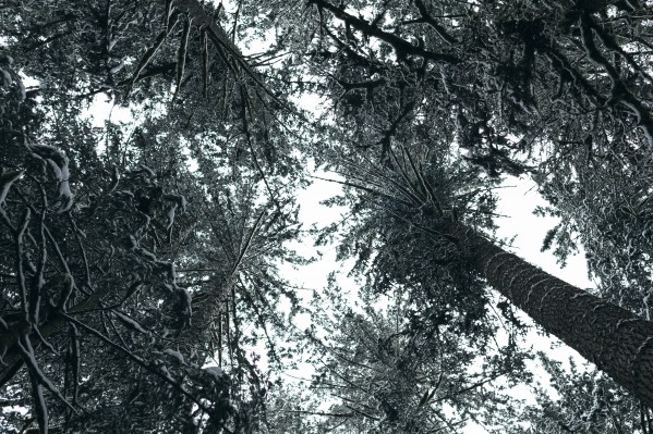_Q1A0917 by Nick Roth Photography
