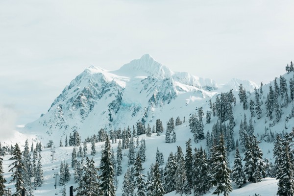 _Q1A1819 by Nick Roth Photography