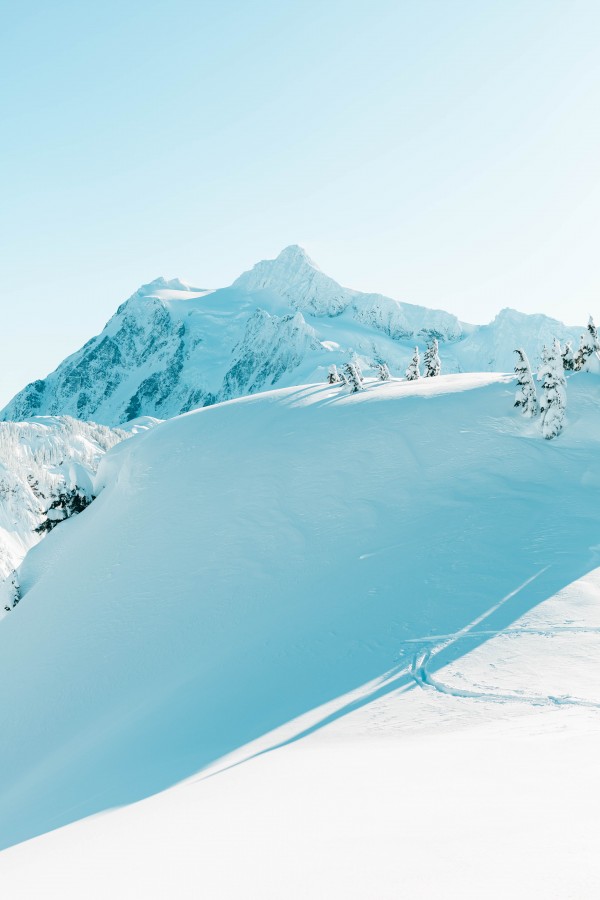 _Q1A2344 by Nick Roth Photography