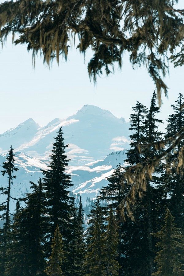 _Q1A3779 by Nick Roth Photography