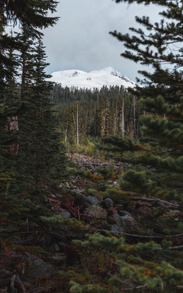 _Q1A4418 by Nick Roth Photography