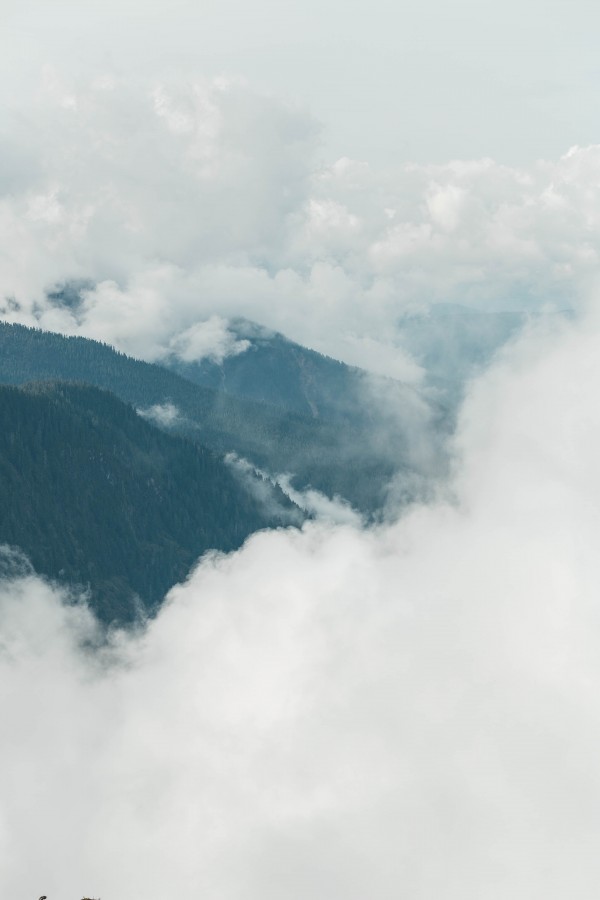 _Q1A4625 by Nick Roth Photography