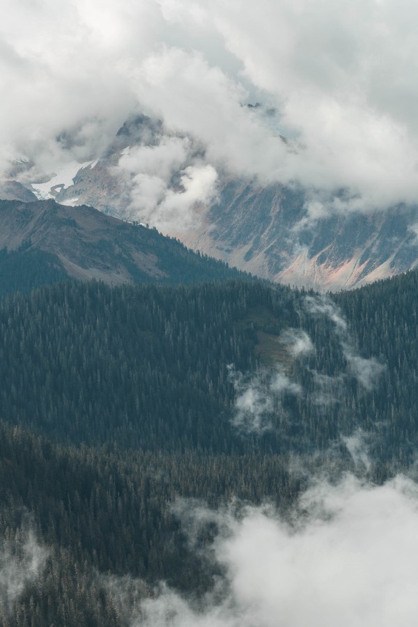 _Q1A4628 by Nick Roth Photography