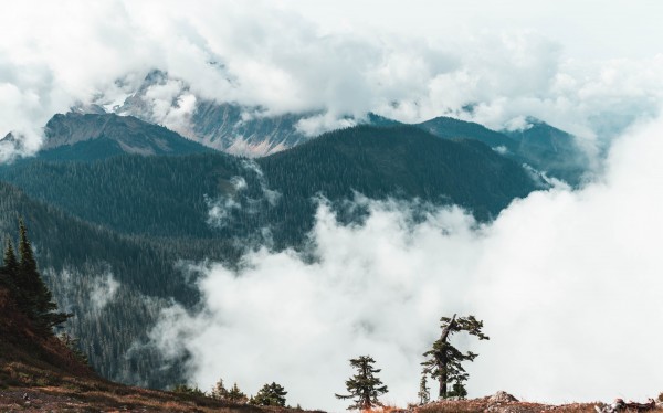 _Q1A4635 Pano by Nick Roth Photography