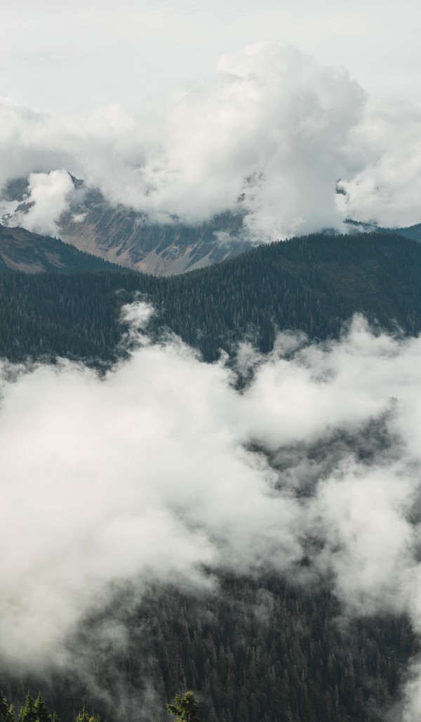 _Q1A4687 Pano by Nick Roth Photography